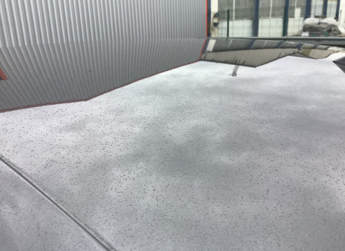 Citroën C4 X BlueHDi 130 S&S EAT8 Max