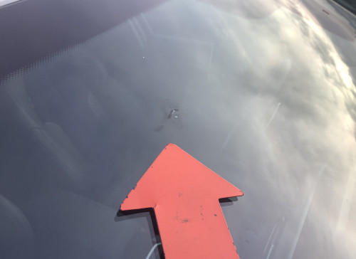 BMW SERIE 1 F40 118d 150 ch BVA8 M Sport