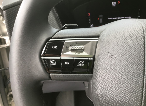 DS DS 4 Nouvelle BlueHDi 130 EAT8 Cross Rivoli