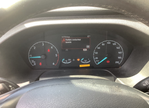 Ford TRANSIT CUSTOM FOURGON 300 L2H2 2.0 ECOBLUE 130 TREND BUSINESS