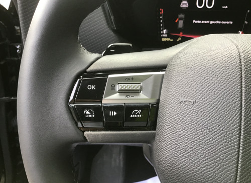 DS DS 4 Nouvelle BlueHDi 130 EAT8 Cross Rivoli
