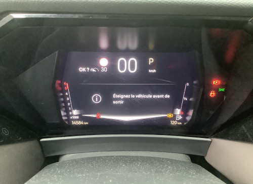 DS DS 4 BlueHDi 130 EAT8 Etoile - Cuir Nappa