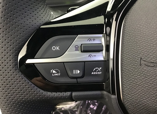 Peugeot 308 Nouvelle BlueHDi 130ch S&S EAT8 GT
