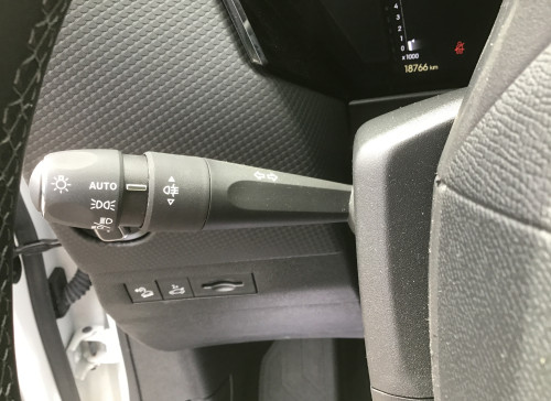 DS DS 4 Nouvelle BlueHDi 130 EAT8 Cross Rivoli