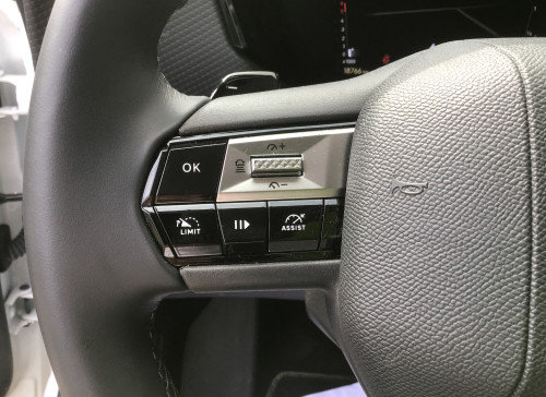 DS DS 4 Nouvelle BlueHDi 130 EAT8 Cross Rivoli